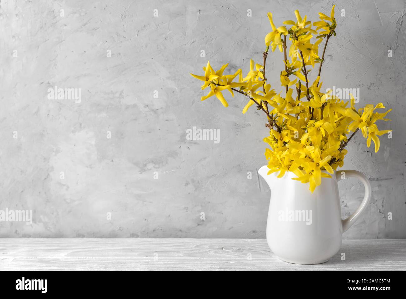 primavera giallo fiori forsithia su sfondo concreto con spazio copia. ancora vita. giorno donne o concetto di matrimonio Foto Stock