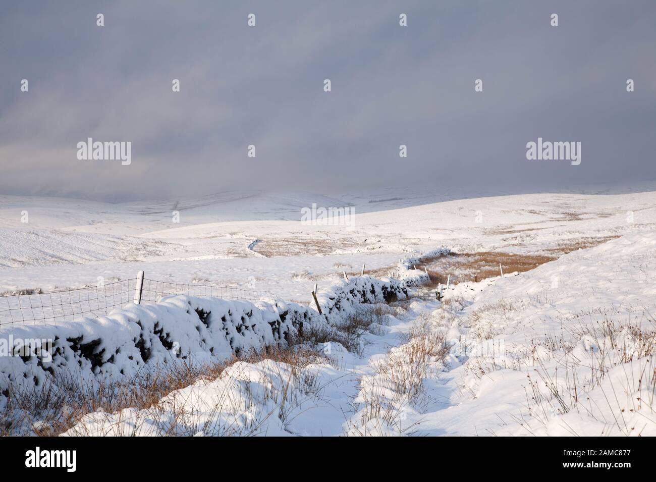 Muro di pietra a secco su Horton Moor nel Yorkshire Dales, Regno Unito Foto Stock
