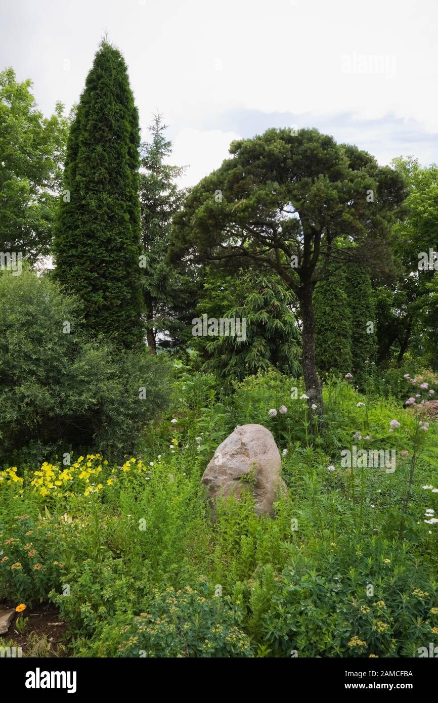 Confine con roccia decorativa e Thuja tagliata - alberi di cedro in giardino privato cortile in estate. Foto Stock