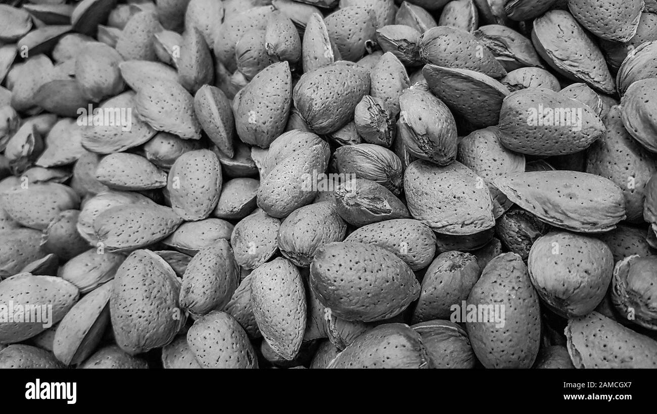 Closeup shot di mandorle crude in stile bianco e nero guscio Foto Stock