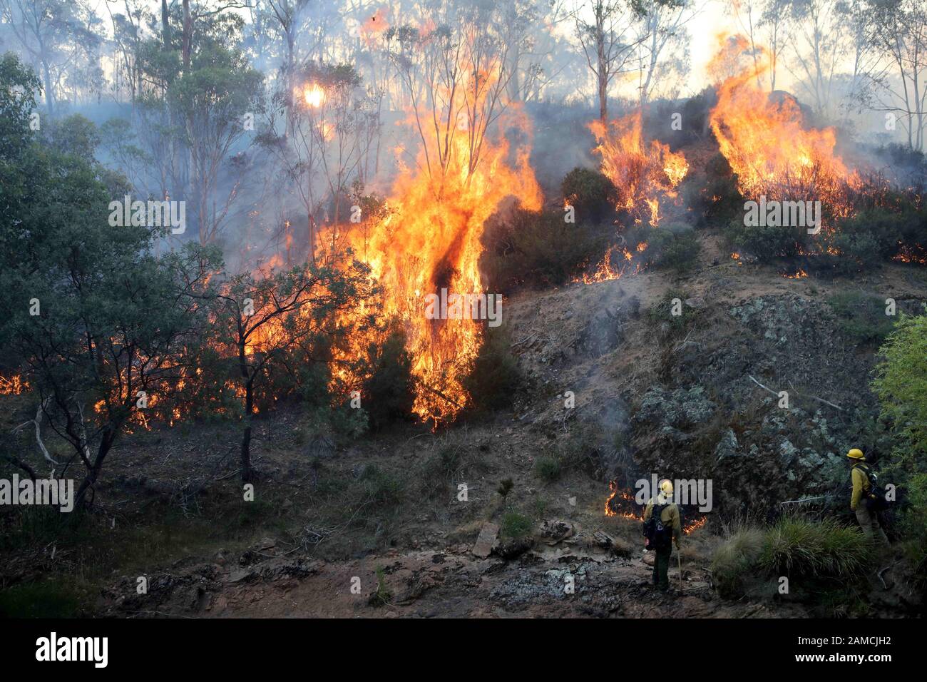 Victoria, Australia. 12th Gen 2020. I vigili del fuoco di una squadra comune di sciopero australiano e statunitense tengono d'occhio un incendio di cespuglio mentre ricattano un'area per controllare il fuoco e proteggere le strutture vicine, nel Parco Nazionale Alpino vicino Omeo. I vigili del fuoco australiani sono con la Country Fire Authority Australia e il team degli Stati Uniti è la terza rotazione in per 28 giorni e provengono da cinque diverse agenzie degli Stati Uniti. Credit: Zuma Press, Inc./Alamy Live News Foto Stock