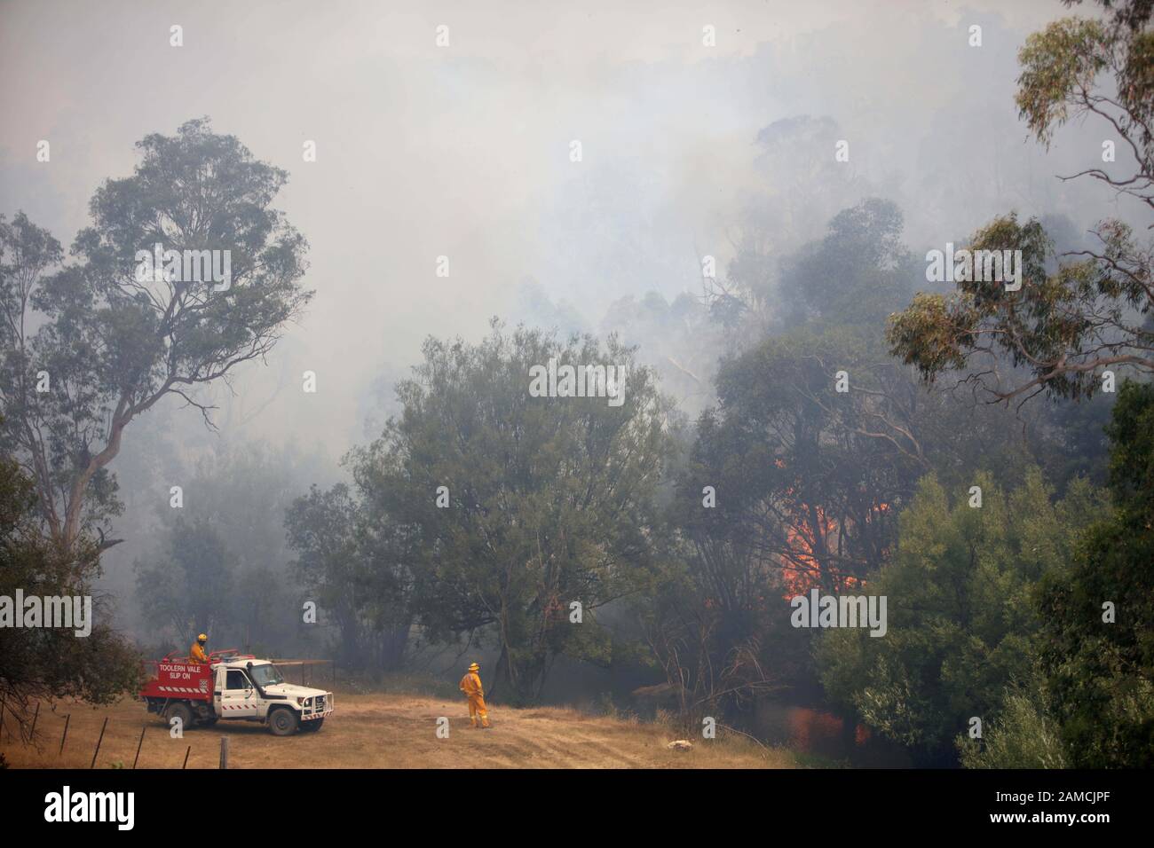 Victoria, Australia. 12th Gen 2020. I vigili del fuoco di un team di sciopero congiunto australiano e statunitense tengono d'occhio un incendio di cespuglio mentre gli altri membri del team ricattano un'area per controllare l'incendio e proteggere le strutture vicine, nel Parco Nazionale Alpino vicino a Omeo. I vigili del fuoco australiani sono con la Country Fire Authority Australia e il team degli Stati Uniti è la terza rotazione in per 28 giorni e provengono da cinque diverse agenzie degli Stati Uniti. Credit: Zuma Press, Inc./Alamy Live News Foto Stock