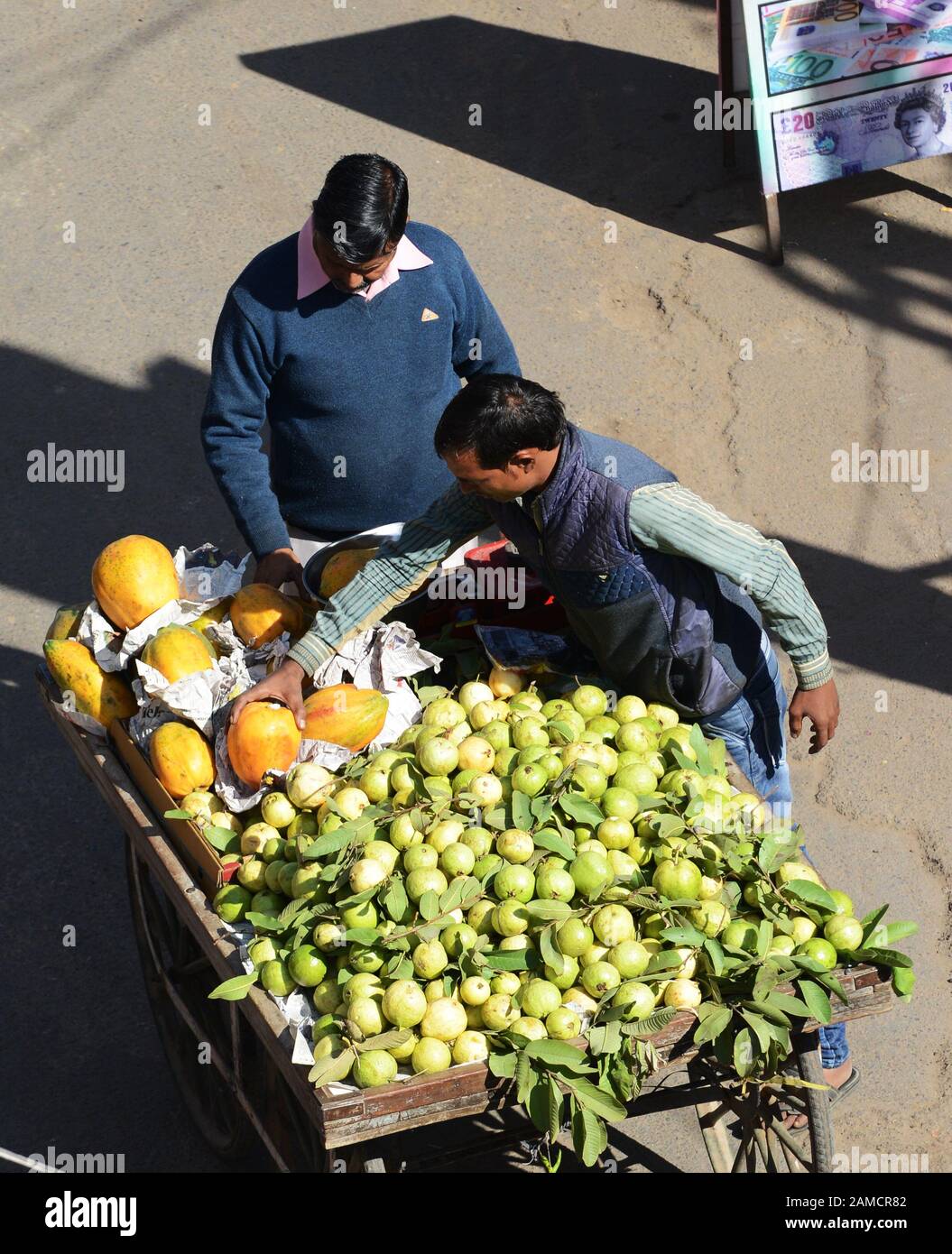 Un produttore di frutta mobile a Pushkar, India. Foto Stock