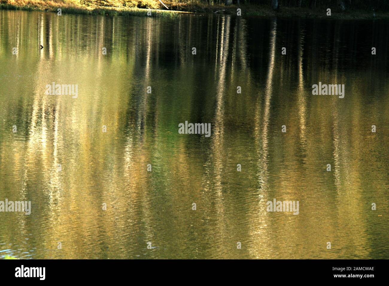 Belle riflessioni in acqua di un fiume Foto Stock