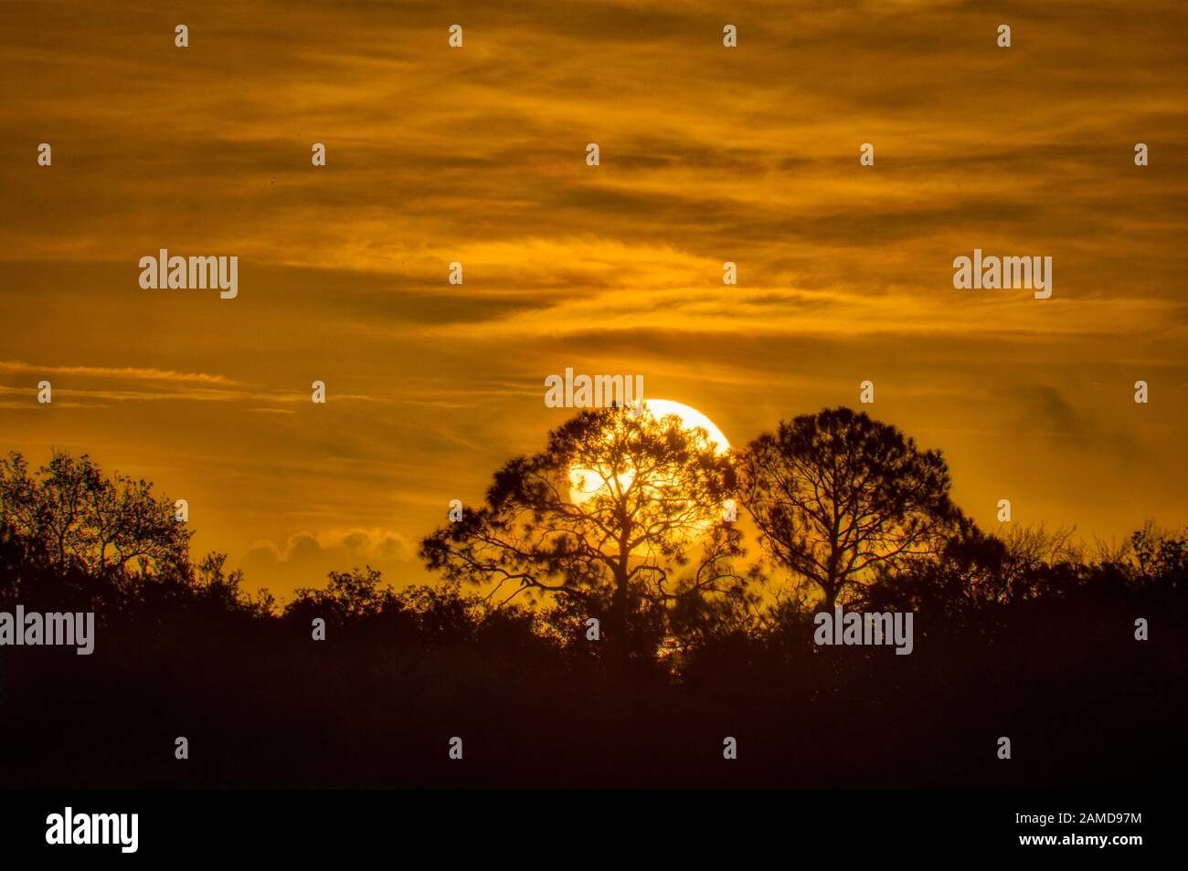 Sunrise Florida Preserve Foto Stock