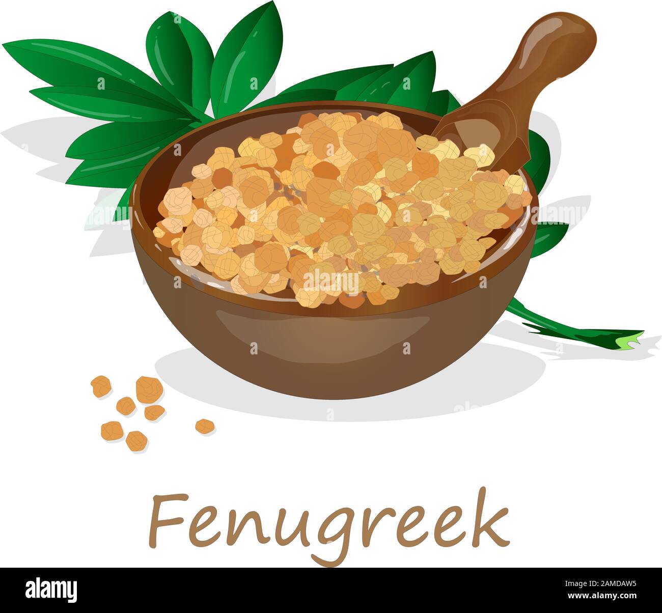 Methi, semi fenugreek immagine vettoriale su sfondo bianco. Immagine isolata. Illustrazione Vettoriale