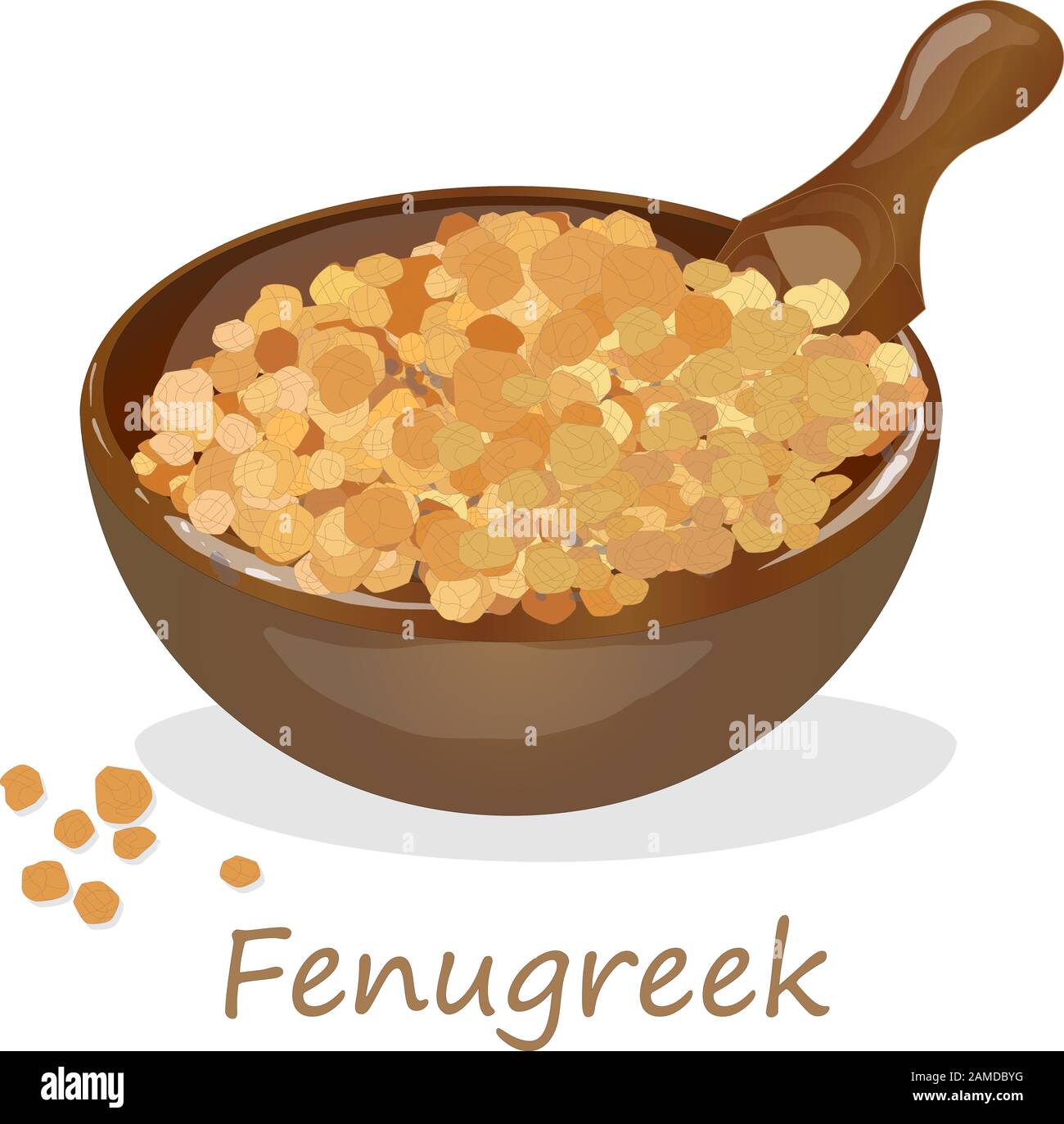 Methi, semi fenugreek immagine vettoriale su sfondo bianco. Immagine isolata. Illustrazione Vettoriale