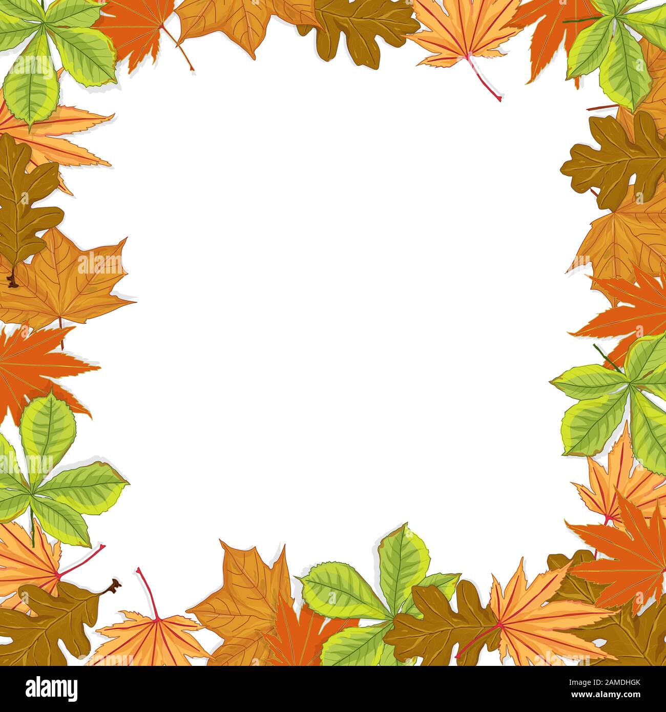 Illustrazione vettoriale della composizione autunnale. Struttura in foglie essiccate colorfull. Autunno, Fall Concept.Vista dall'alto, Flat Lay. Illustrazione Vettoriale