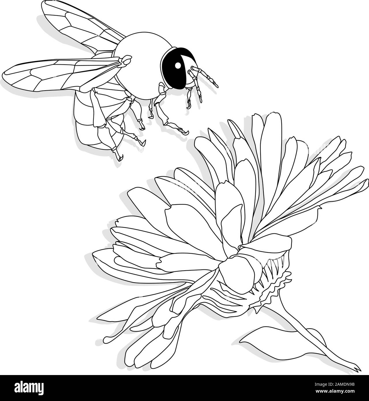 Immagine vettoriale di ape di miele su sfondo bianco. Immagine a colori. Illustrazione Vettoriale