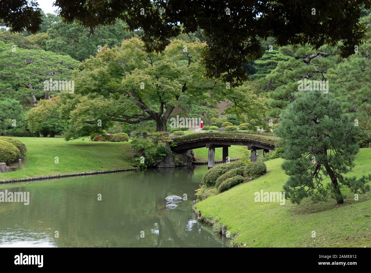 Rikugien o Rikugi-en giardino in Tokyo, Giappone, Asia. Il parco della città con alberi e il lago, giardini nella stagione estiva. Posto famoso per i turisti, bellezza naturale Foto Stock