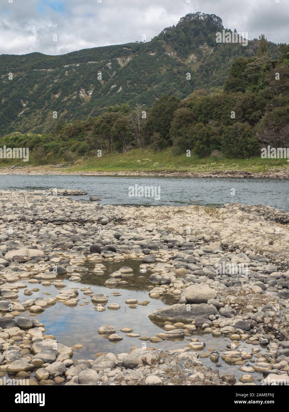 Whanganui River, Vicino Jersualem Hiruharama, Isola Del Nord, Nuova Zelanda Foto Stock