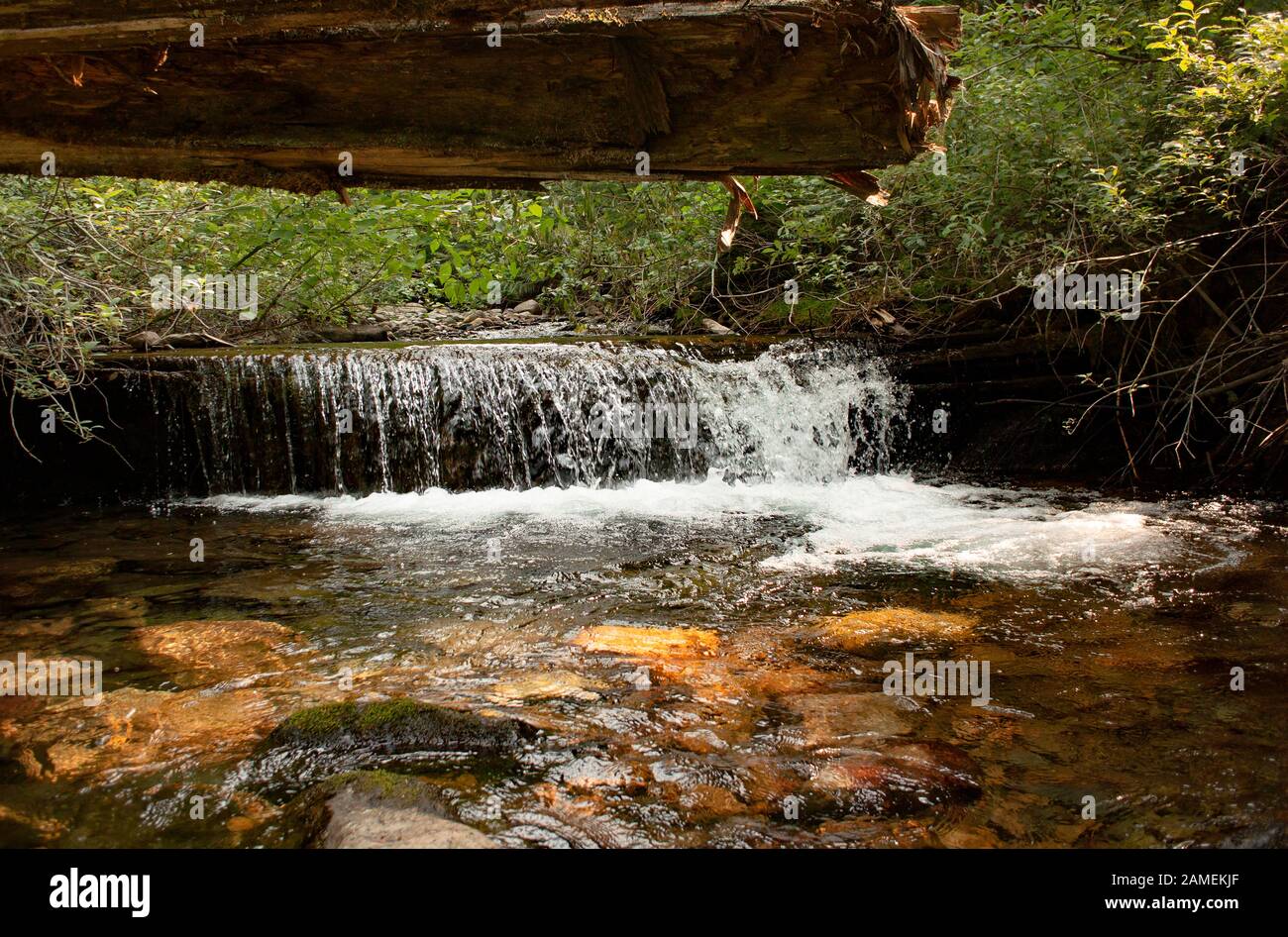 Una chiara piscina d'acqua che scorre su un marmellata di tronchi sul Chippewa Creek, sopra La Forcella sud del fiume Bull. Chippewa Creek è un affluente della forcella sud di Foto Stock