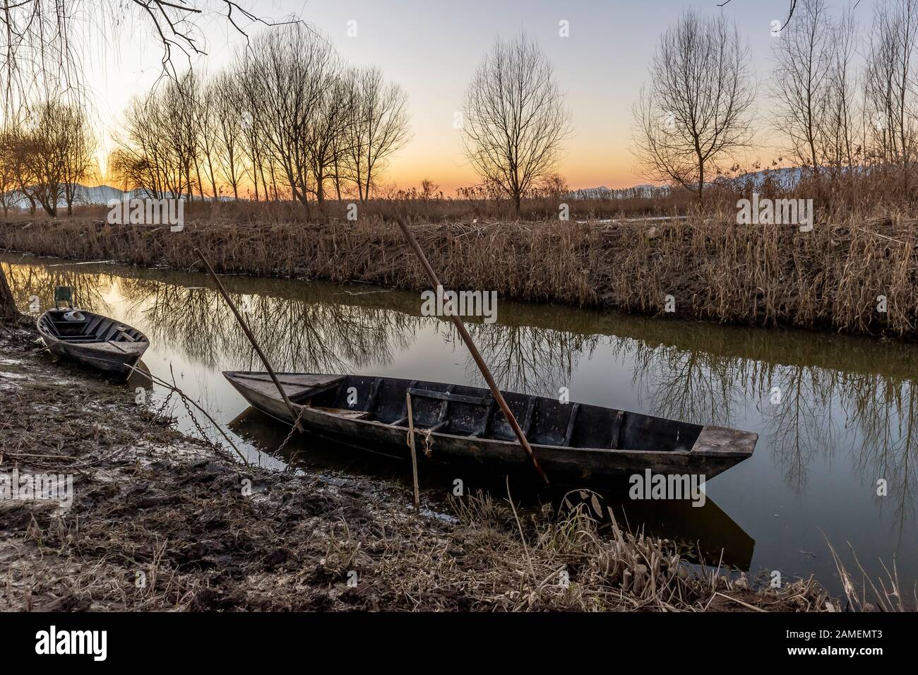 Tipiche barche in legno del Padule di Fucecchio al tramonto, Porto dell'Uggia, Toscana, Italia Foto Stock