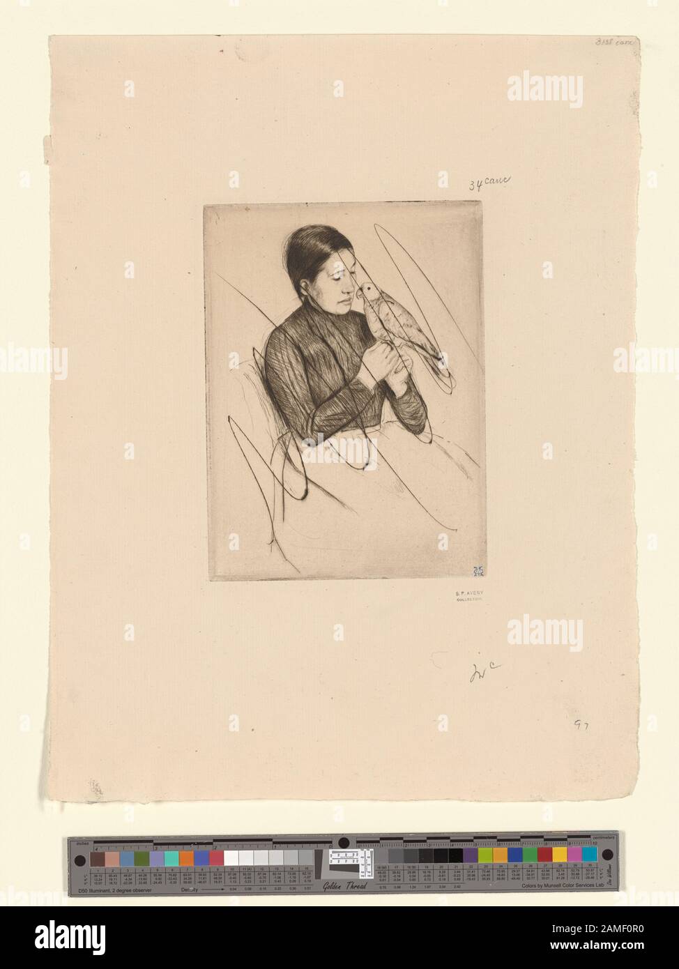 Il pappagallo in plate, l.r.: MC. Citazione/riferimento: Breeskin 138, piastra annullata, n. di accesso 108331; il pappagallo. Foto Stock Il pappagallo in plate, l.r.: MC. Citazione/riferimento: Breeskin 138, piastra annullata, n. di accesso 108331; il pappagallo. Foto Stock