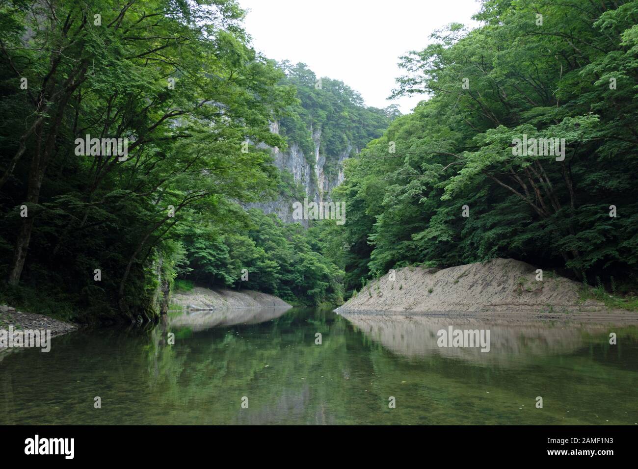 Vista della Gola di Geibi o Geibikei nella Prefettura di Iwate, Giappone, Asia. Paesaggio giapponese con fiume Satetsu, canyon, alberi, natura Foto Stock