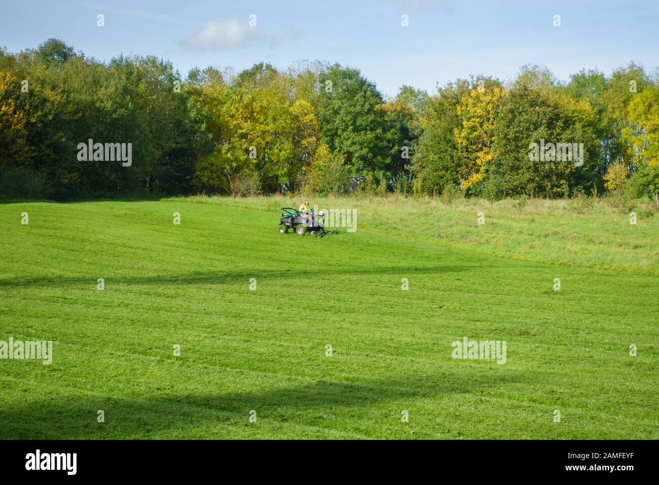 Uomo che taglia l'erba in un parco utilizzando un giro su tosaerba a motore, autunno. Melton Mowbray, Leicestershire, Inghilterra, Regno Unito Foto Stock