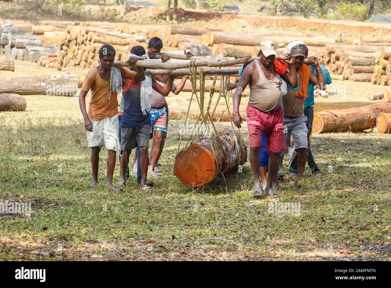 Sijhora India Jan 09.2020 : la gente solleva i tronchi di legno manualmente usando corde e tronchi come vettori Foto Stock