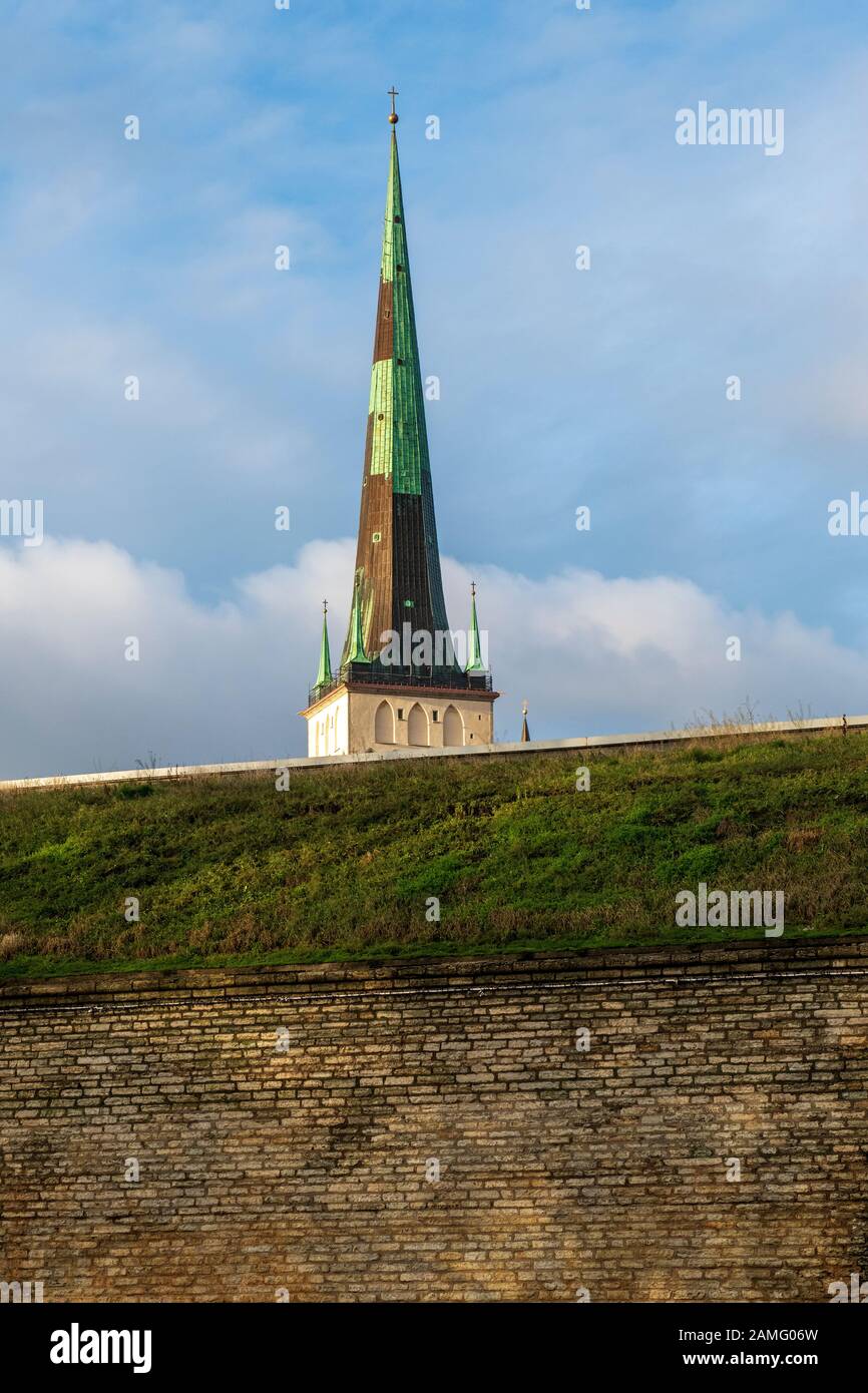 Vista da est della chiesa di San Olaf o della chiesa di San Olav, che sovrasta le mura della città vecchia. Tallinn, Estonia, Foto Stock