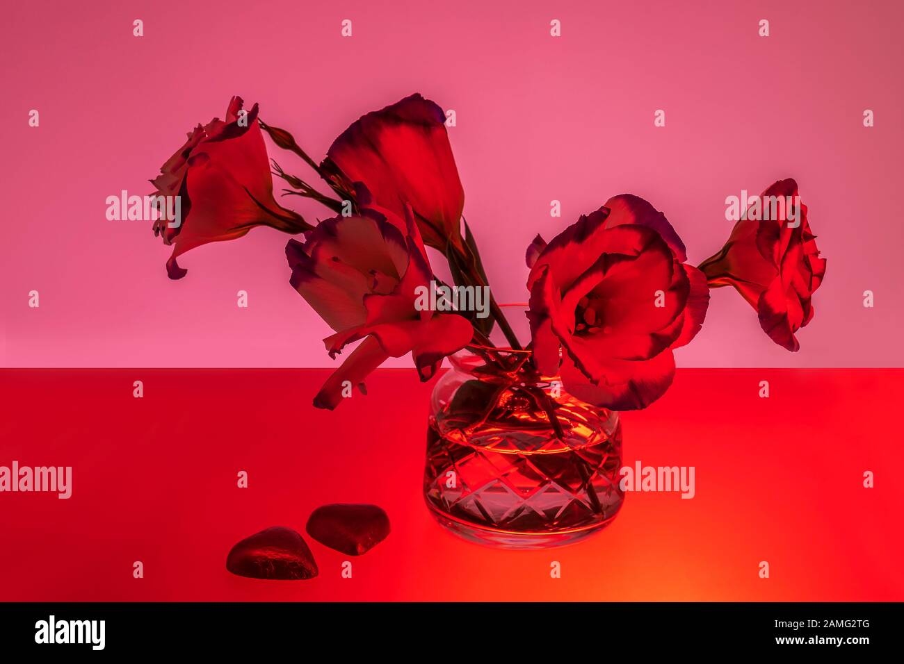 Immagine di colore rosso di fiori in vaso e cioccolatini a forma di cuore, San Valentino Foto Stock