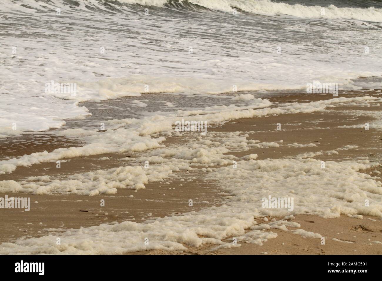 Schiuma di mare sulla spiaggia dell'Oceano Atlantico in Delaware, Stati Uniti Foto Stock