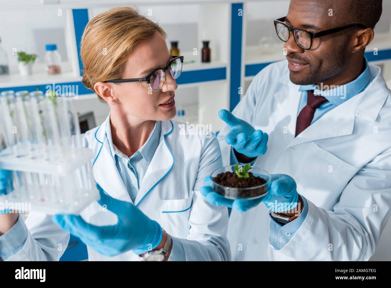 biologi multiculturali in camici bianchi che tengono provette di prova e parlano in laboratorio Foto Stock