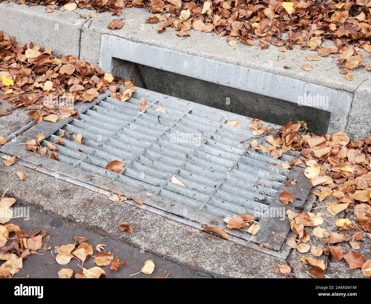 Primo piano di foglie bagnate e drenaggio delle tempeste sulla strada nella San Francisco Bay Area, San Ramon, California, 17 dicembre 2019. Gli incidenti automobilistici sono comuni all'inizio della stagione delle piogge nella regione, in quanto i rischi stradali aumentano con il tempo piovoso. () Foto Stock
