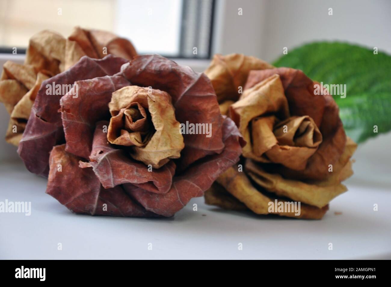fiori di rosa fatti delle loro foglie cadute di autunno su un davanzale. Hobby. Foto Stock