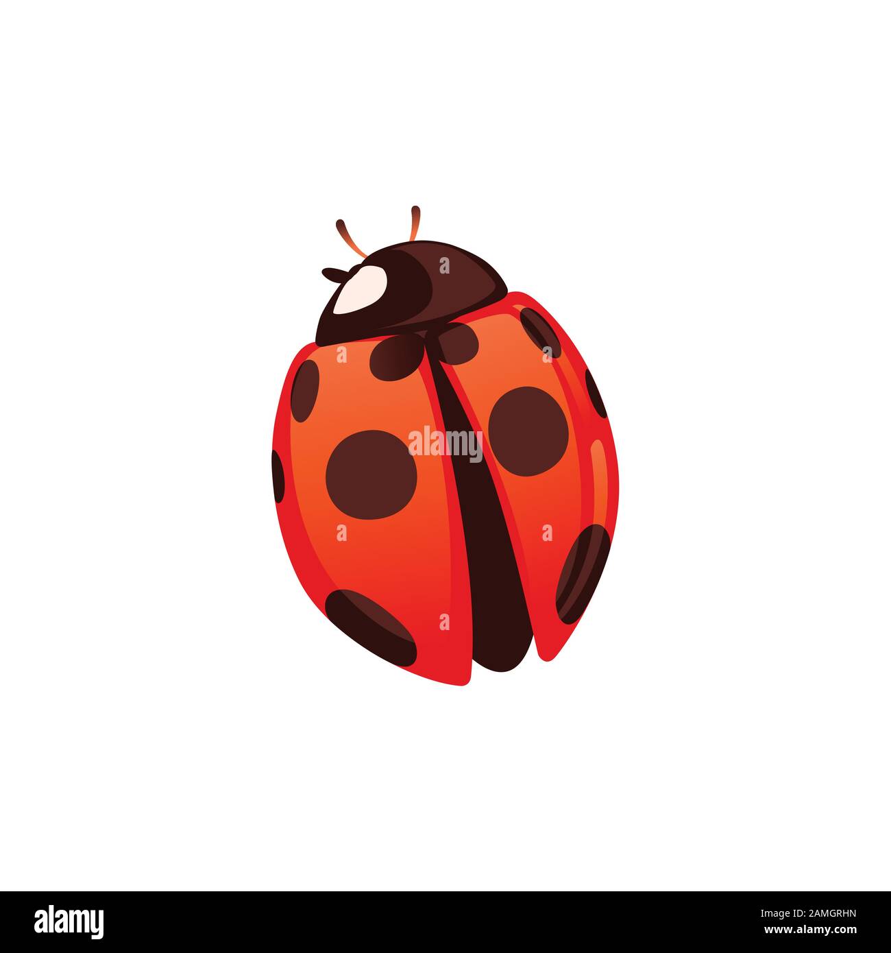 Ladybug con shell chiusa beetle cartone animato bug design piatto vettore illustrazione isolato su sfondo bianco. Illustrazione Vettoriale