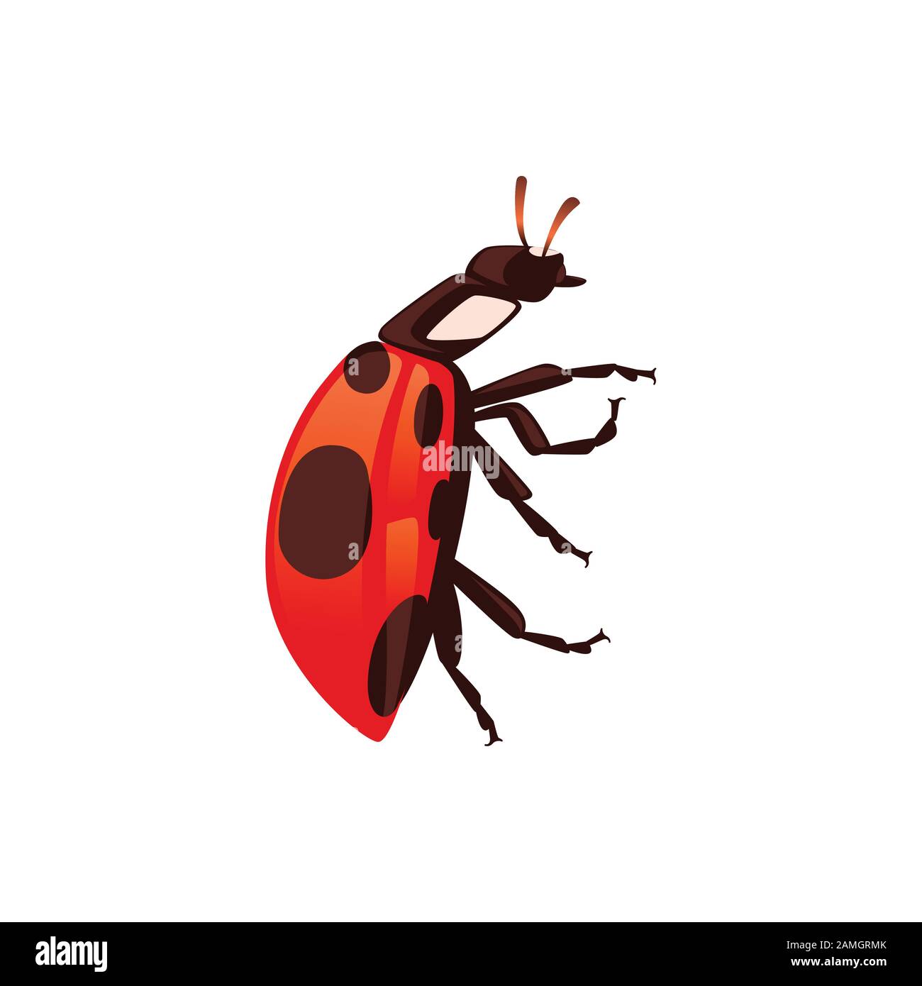 Ladybug con shell chiusa beetle cartone animato bug design piatto vettore illustrazione isolato su sfondo bianco. Illustrazione Vettoriale