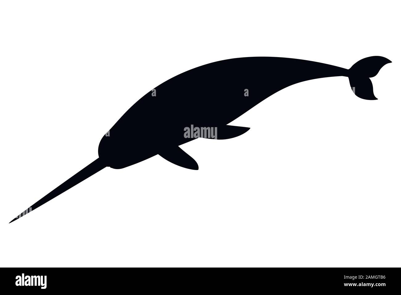 Silhouette nera narwhal(Monodon monoceros) balena dentata con tusk cartone animato disegno del personaggio piatto vettore illustrazione isolato su sfondo bianco Illustrazione Vettoriale