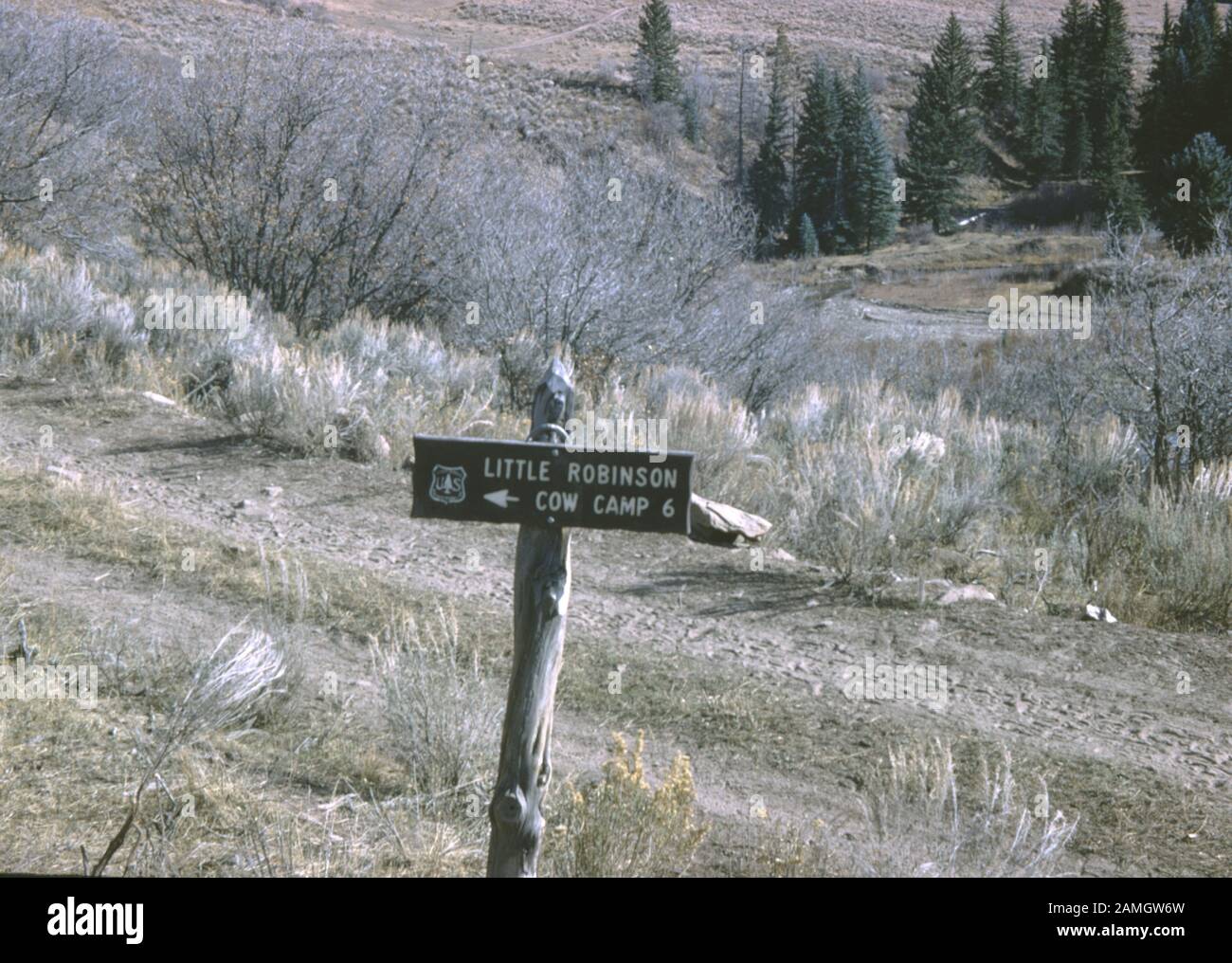 Cartello direzionale con freccia per Little Robinson Cow Camp a Gunnison National Forest, Elk Wilderness, Colorado, 1965. () Foto Stock