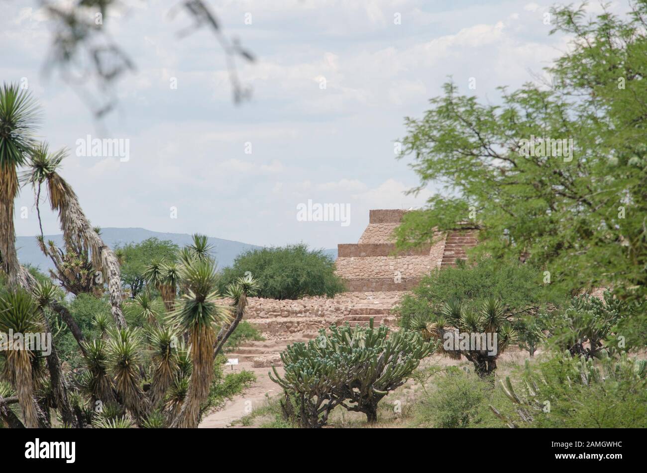 Pahñu, zona archeologica di Hidalgo, Messico; piramide che si affaccia dalla vegetazione semi-desertica Foto Stock