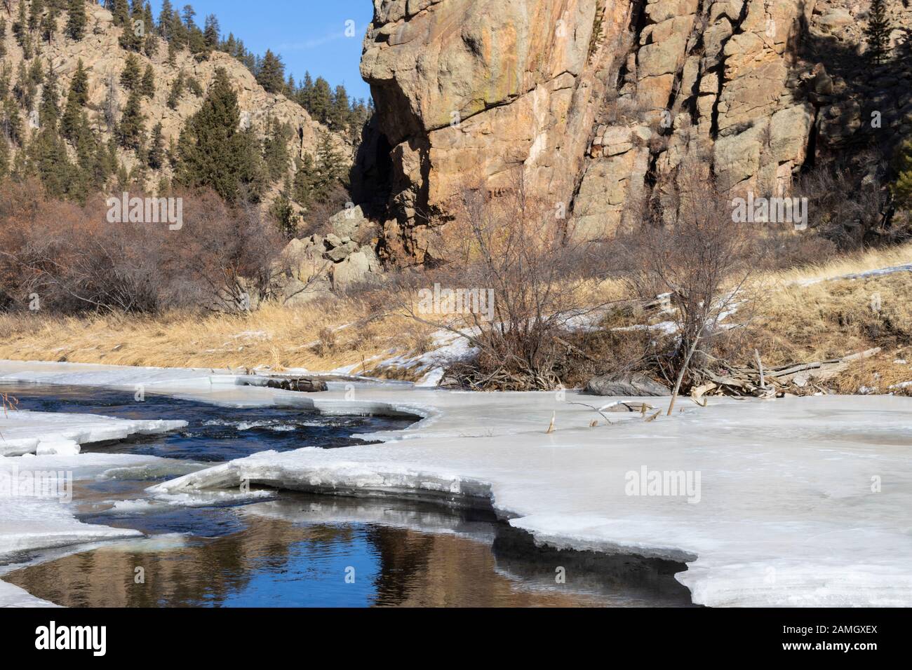 Solitudine congelata alle sorgenti del fiume South Platte a Eleven Mile Canyon Colorado Foto Stock