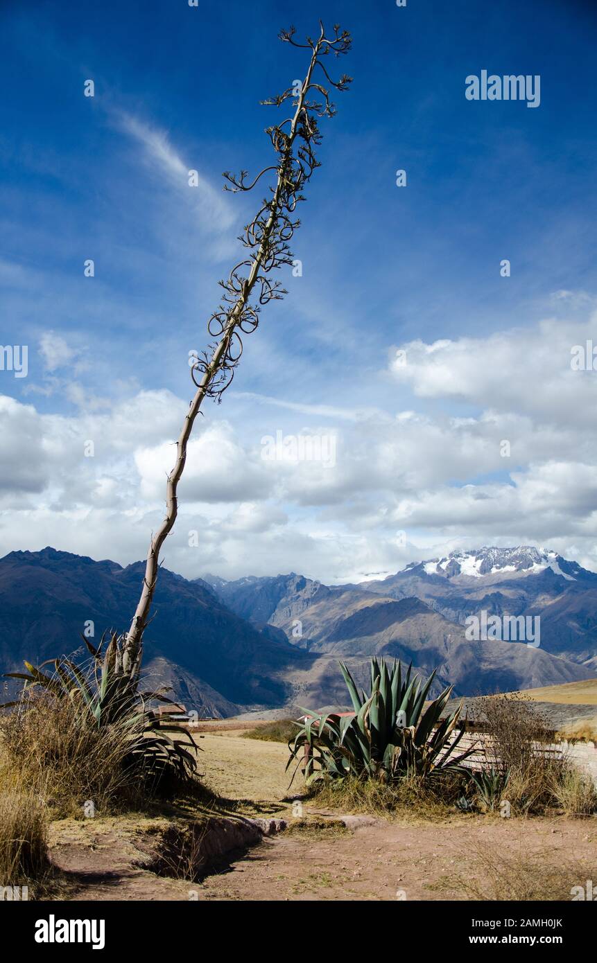 Vista delle montagne delle Ande vicino a terrazze Morayinca, Cusco, Perù Foto Stock