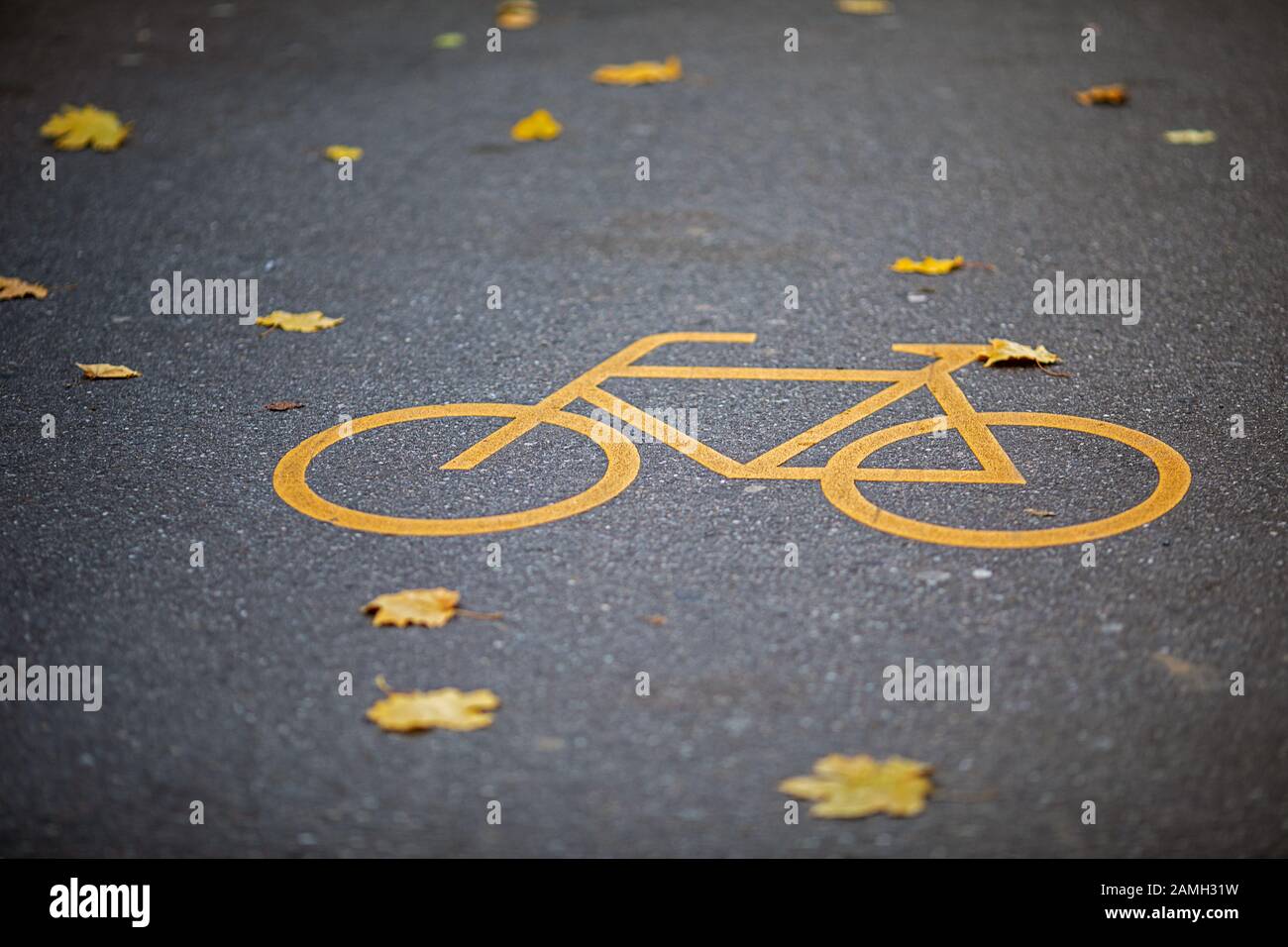 disegno astratto dipinto di una bicicletta sull'asfalto con foglie d'autunno Foto Stock