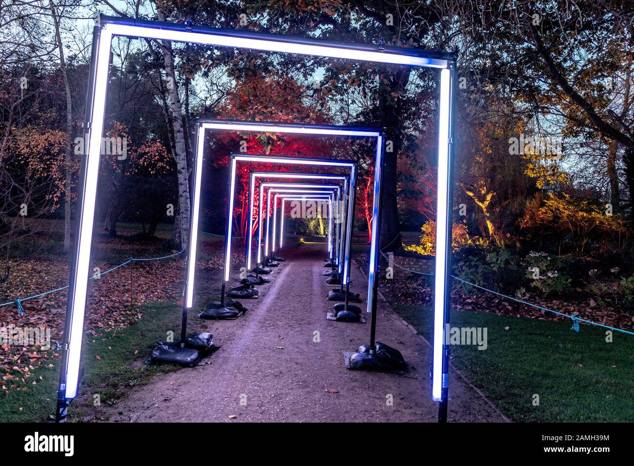 Creative Lighting Presenta L'Enchanted Forest Syon Park Di Londra, Regno Unito Foto Stock