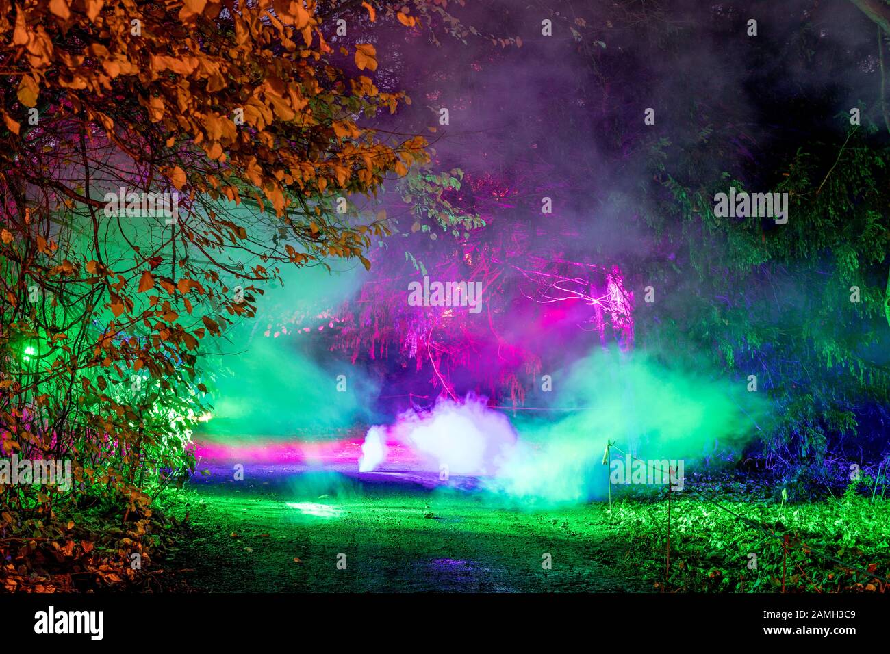 Fumo e Colori nella foresta incantata Syon Park Londra UK Foto Stock