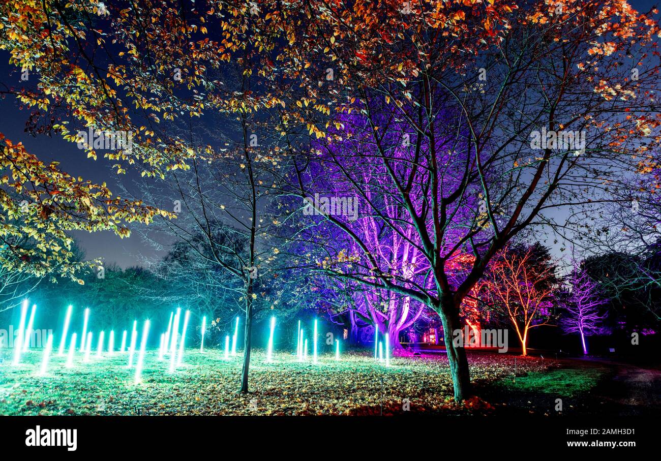 The Enchanted Forest Syon Park Londra Uk Foto Stock