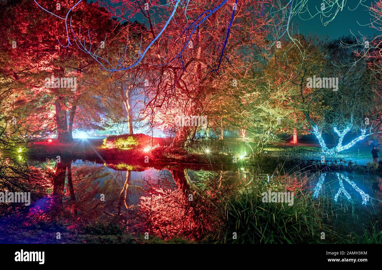 The Enchanted Forest Syon Park Londra Uk Foto Stock