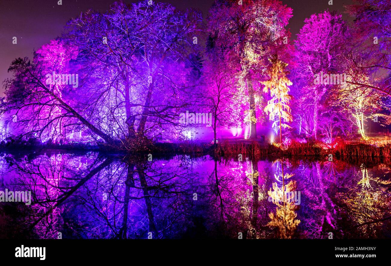 The Enchanted Forest Syon Park Londra Uk Foto Stock