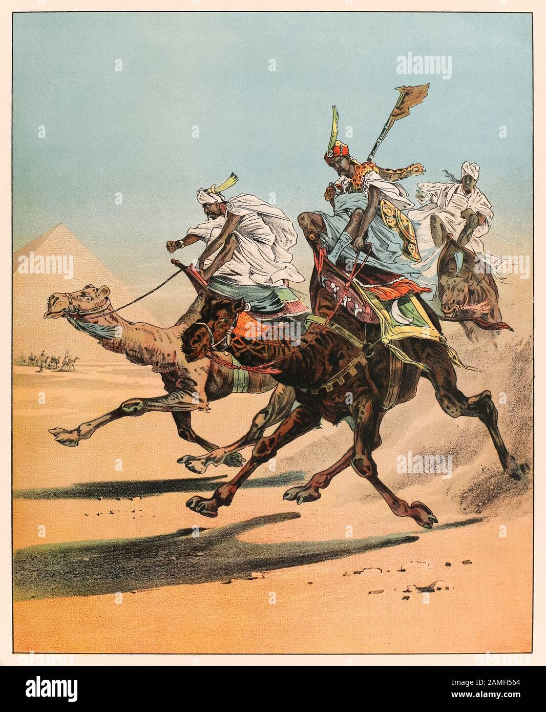 Cammelli da corsa arabi in Egitto da P.T. La Menagerie di Barnum pubblicata nel 1888, illustrazione di Sarah J. Burke. Foto Stock