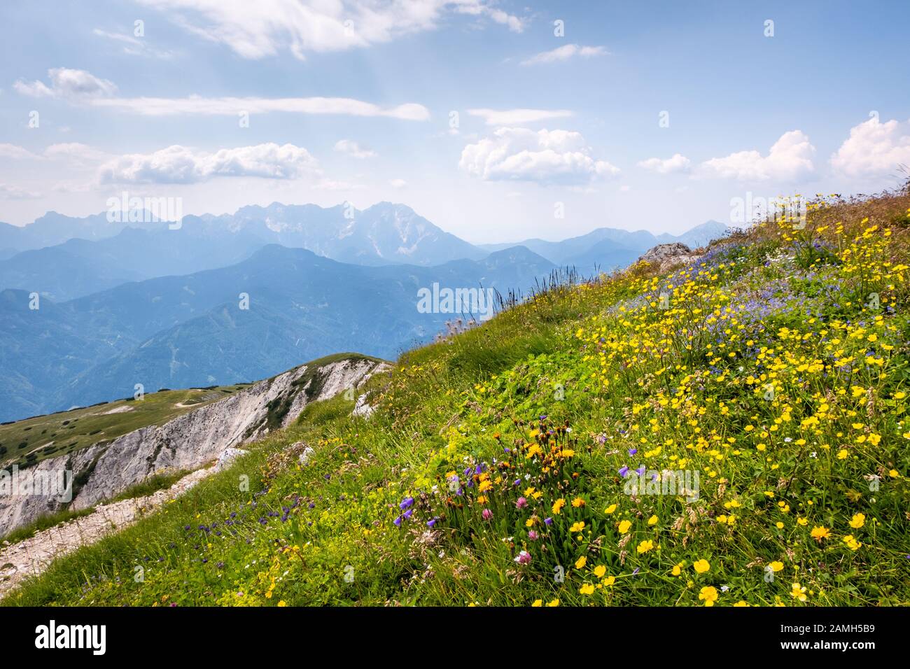 Vista dalla montagna Hochobir in Carinzia, Austria con campo di fiori alle Alpi Kamnik-Savinja in Slovenia in una soleggiata giornata estiva Foto Stock