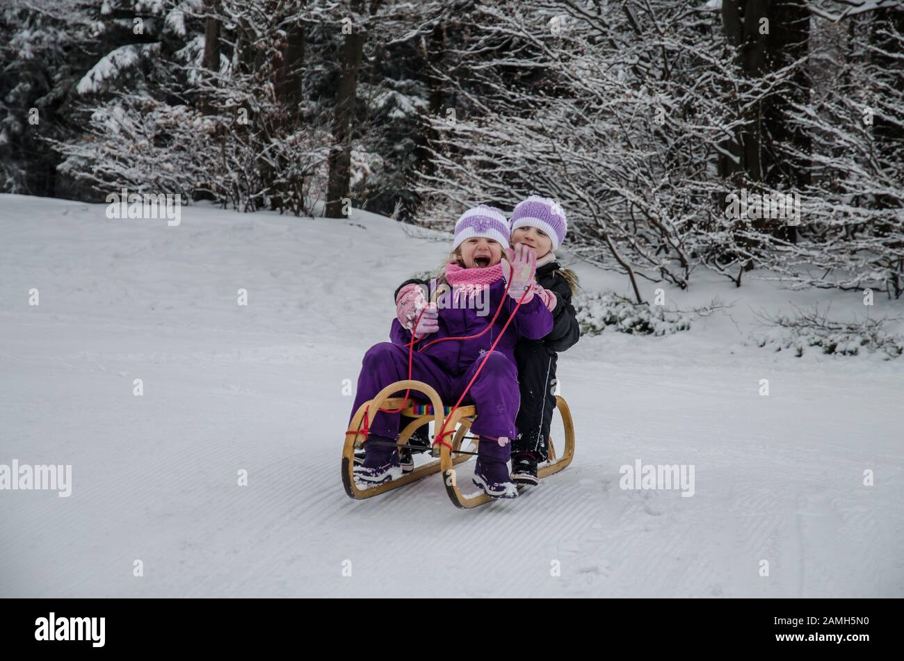 due belle ragazze che corrono in slitta nella foresta invernale con molta neve Foto Stock