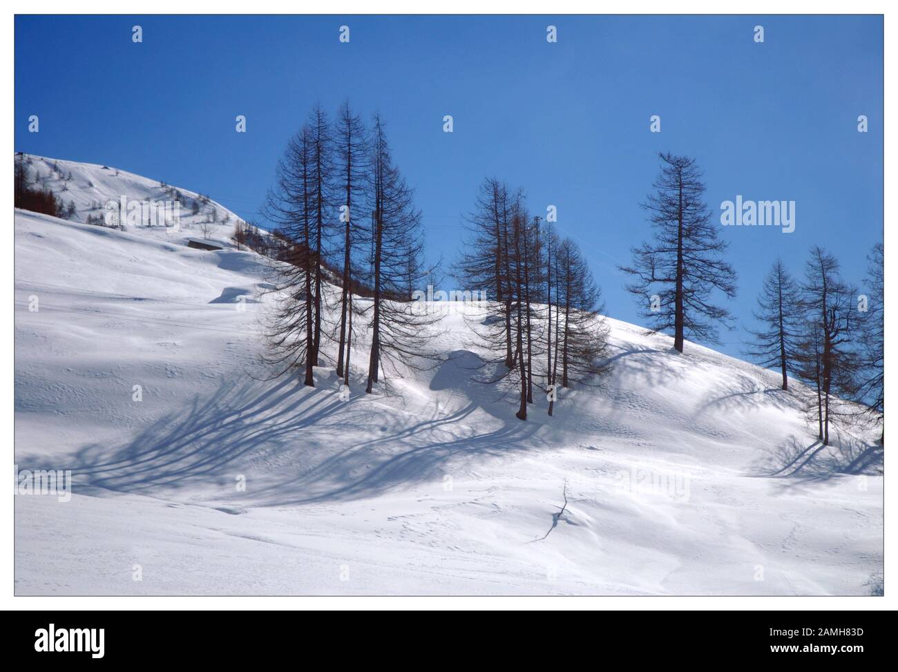 Innevato paesaggio alpino Foto Stock