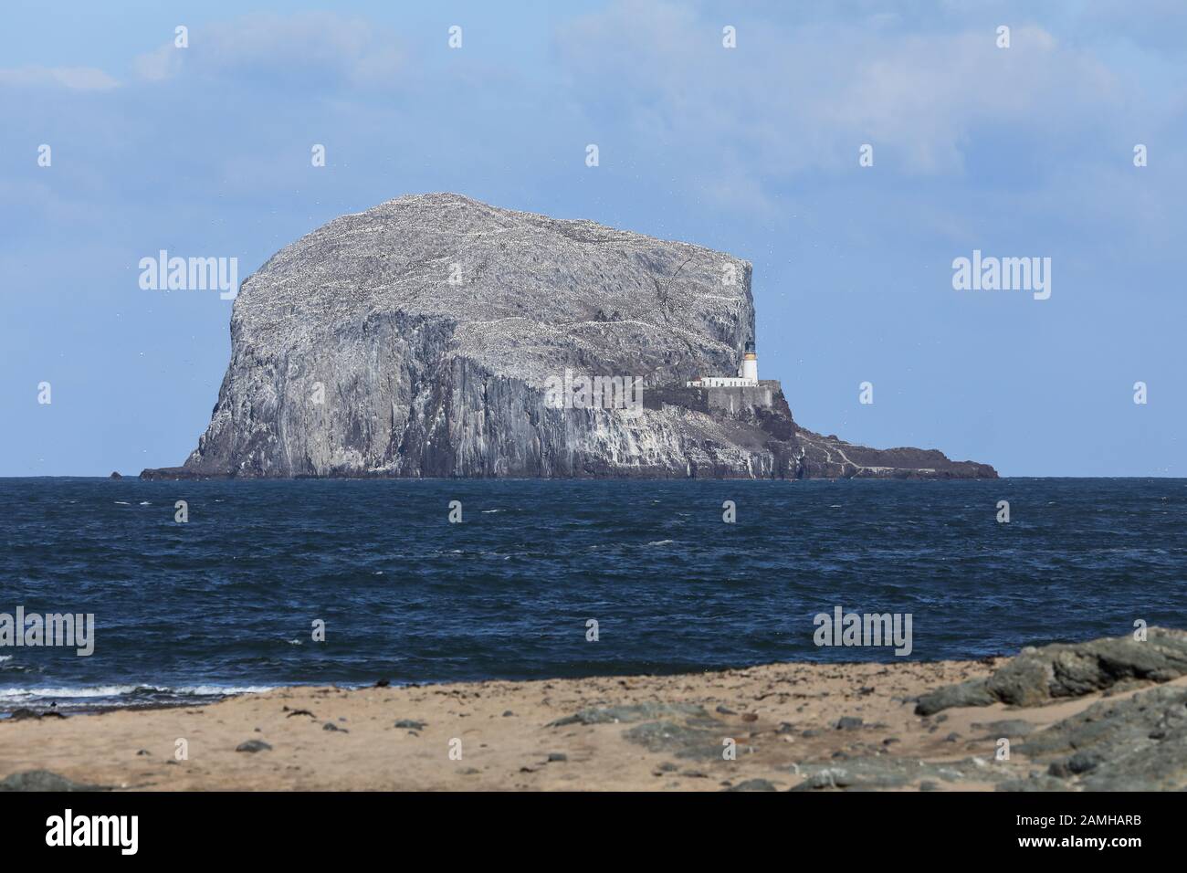 Bass Rock colonia di uccelli marini nel Firth of Forth, Scozia, Regno Unito. Foto Stock