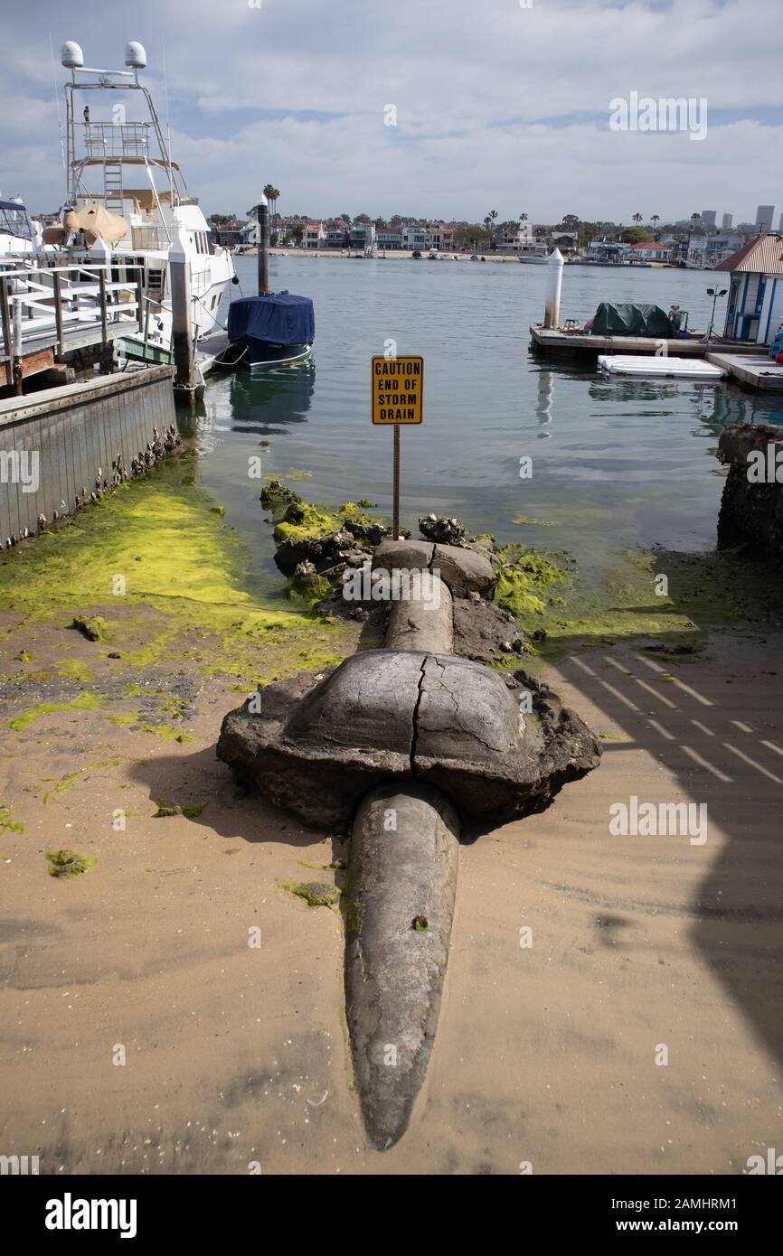 Sistema di drenaggio dell'acqua di superficie che si scarica in Newport Bay Newport Beach California USA Foto Stock