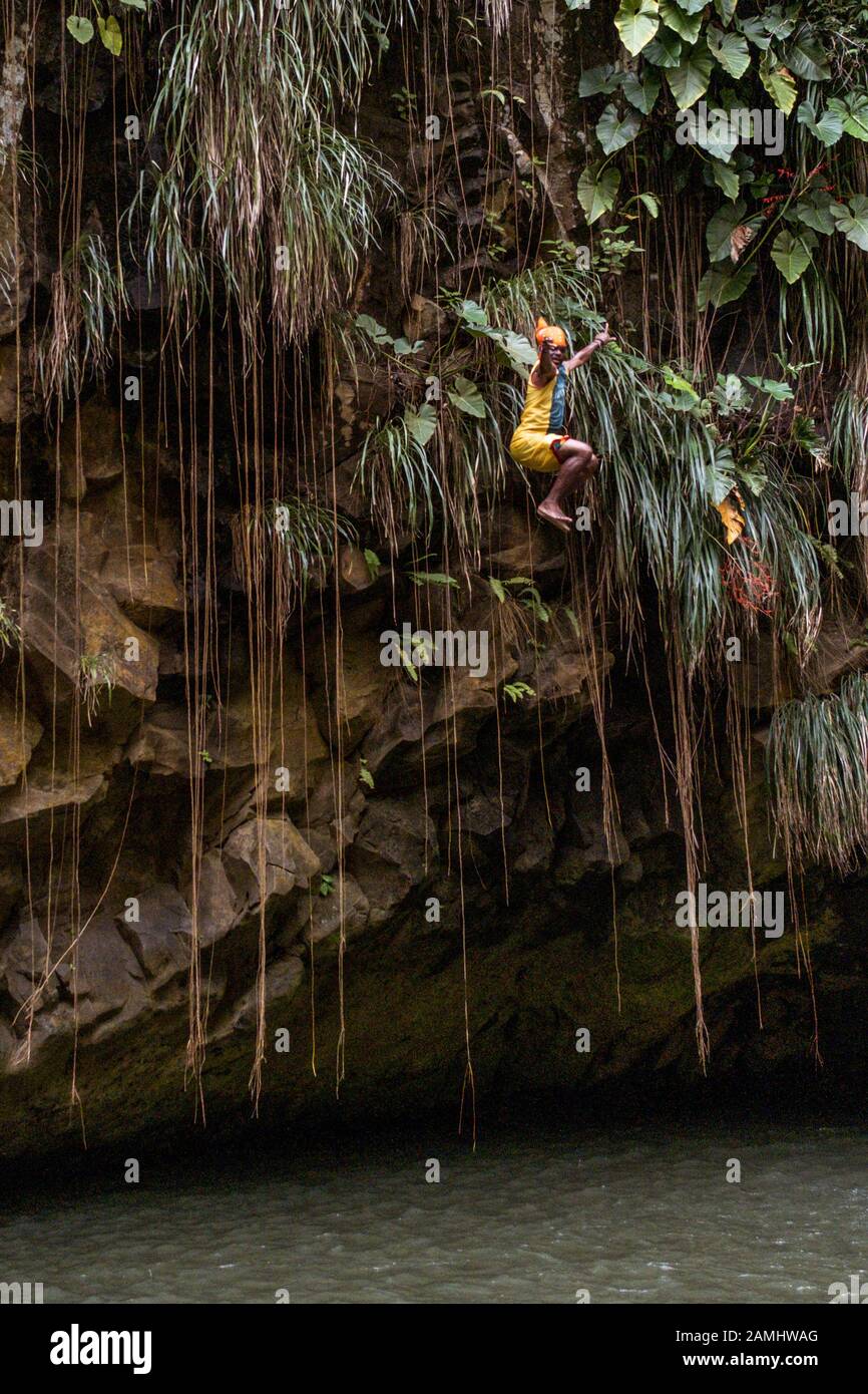 Un tuffatore locale della scogliera che salta dalla scogliera alle cascate di Annandale, la riserva della foresta di Grand Etang, Grenada, Indie Occidentali, Caraibi. Foto Stock