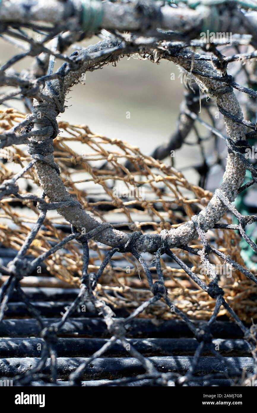 Posto di aragosta immagazzinato sulla spiaggia di sizewell suffolk inghilterra Regno Unito Foto Stock