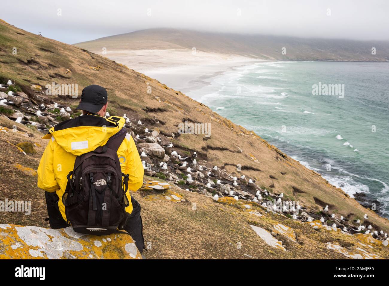Turisti alla colonia Albatross dai colori neri, Isola di Saunders, Isole Falkland, Antartide Foto Stock