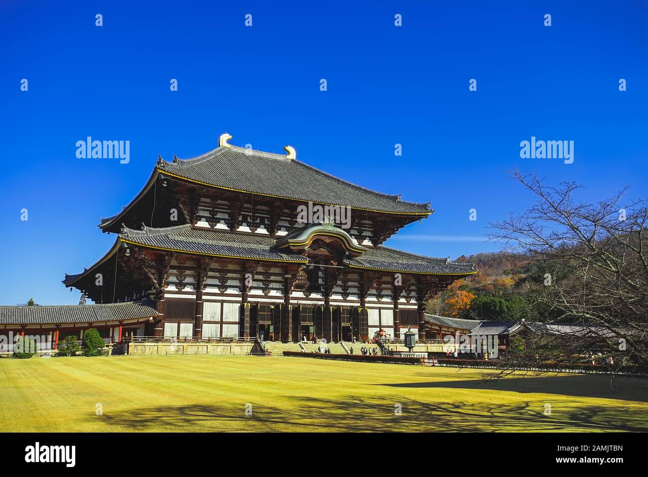 Il più grande edificio in legno del mondo Tempio Todaiji nella città di Nara, nella zona di Kansai, in Giappone. Foto Stock